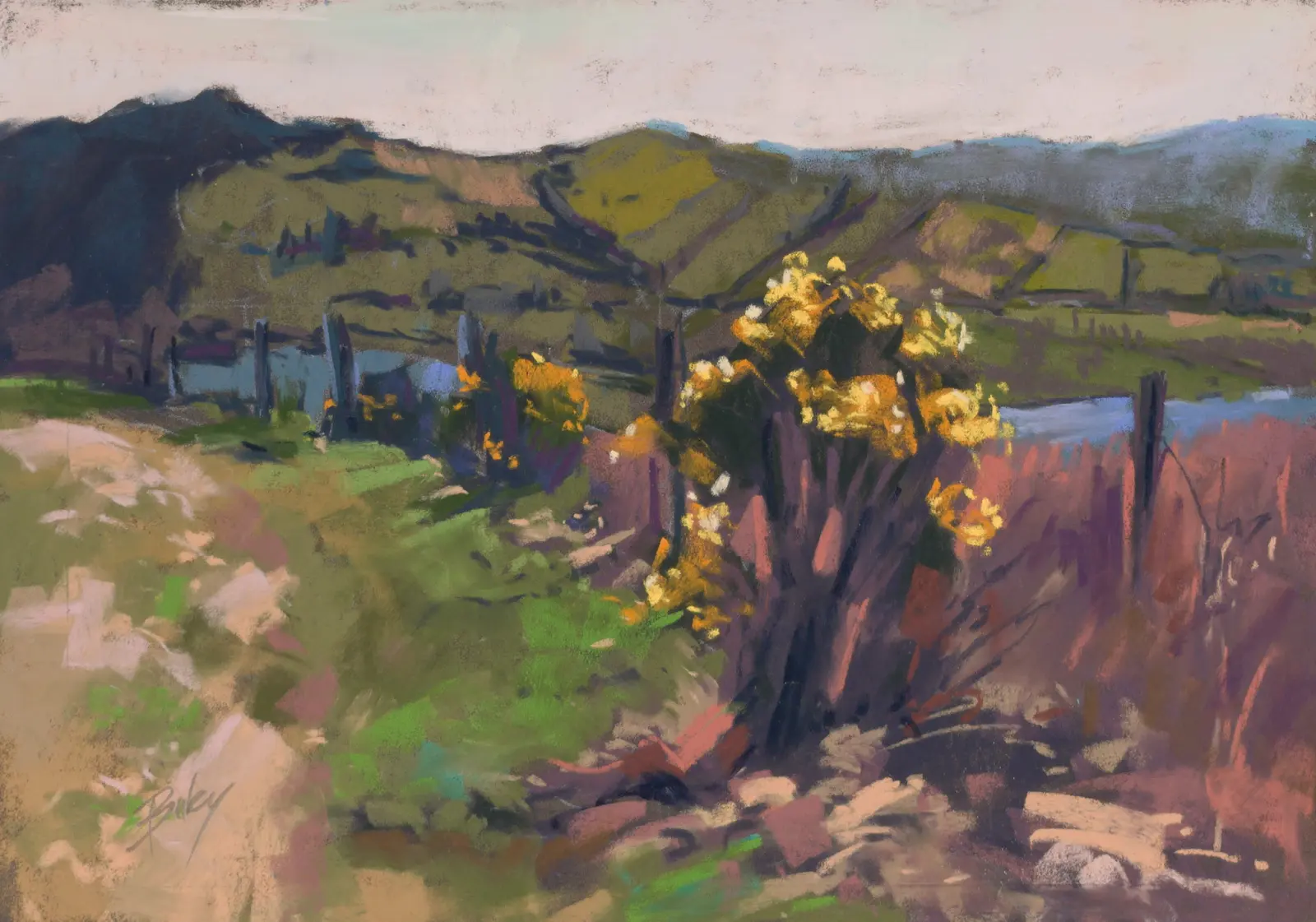 Across Tegg's Nose, Pastel by Szabolcs Brezovsky