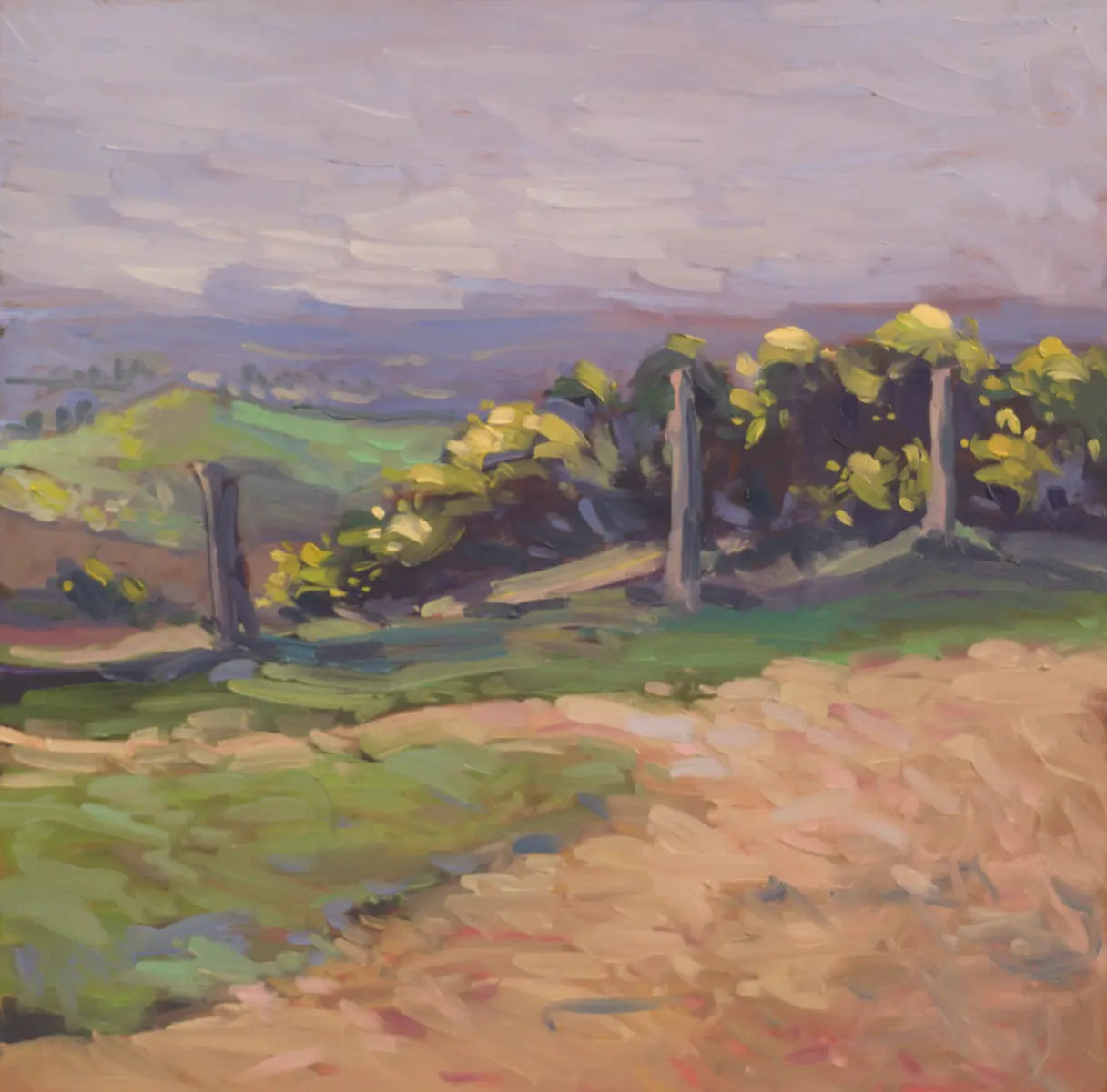 Summer at Tegg's Nose, Oil on board by Szabolcs Brezovsky